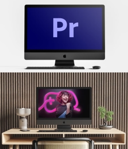 PR零基础 从入门到精通