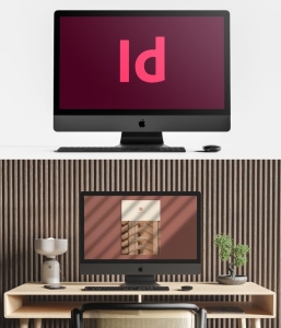 ID零基础 从入门到精通