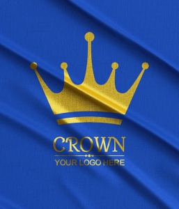 52款 精美Logo只能样机模板 一键替换