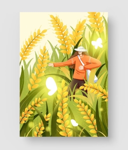 36款 小满节气海报模板