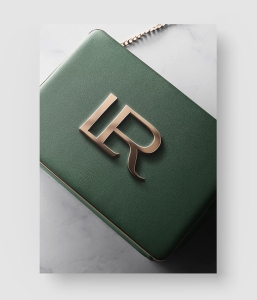 29款 Logo样机模板