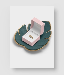 18款 珠宝首饰盒样机