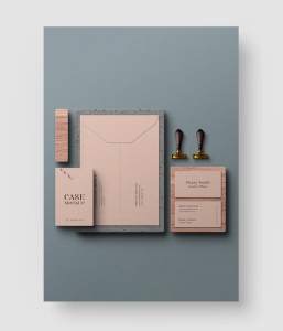 53款 品牌VI样机