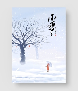 小雪海报