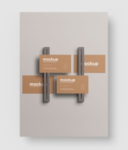 35款 顶级VI样机模板