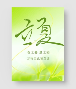 17款 立夏海报