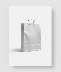 牛皮纸购物袋样机模板