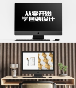 从零开始学包装设计